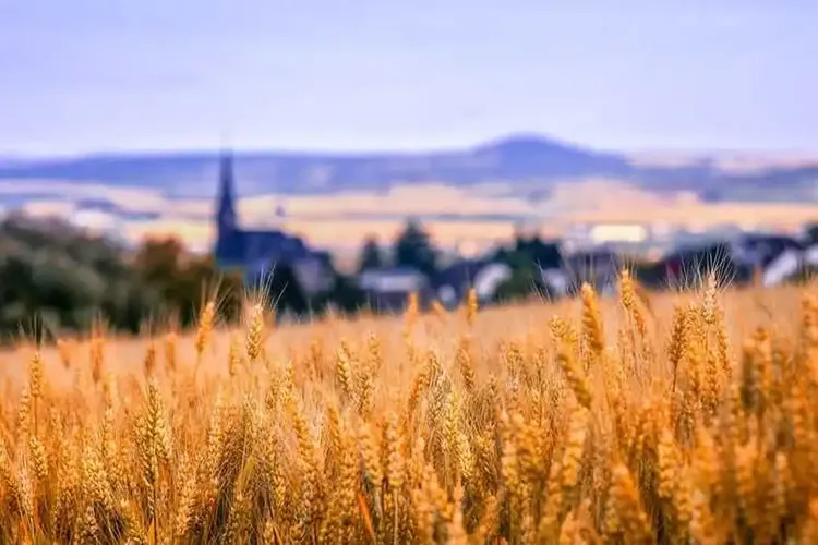 Frankenthal Pfalz