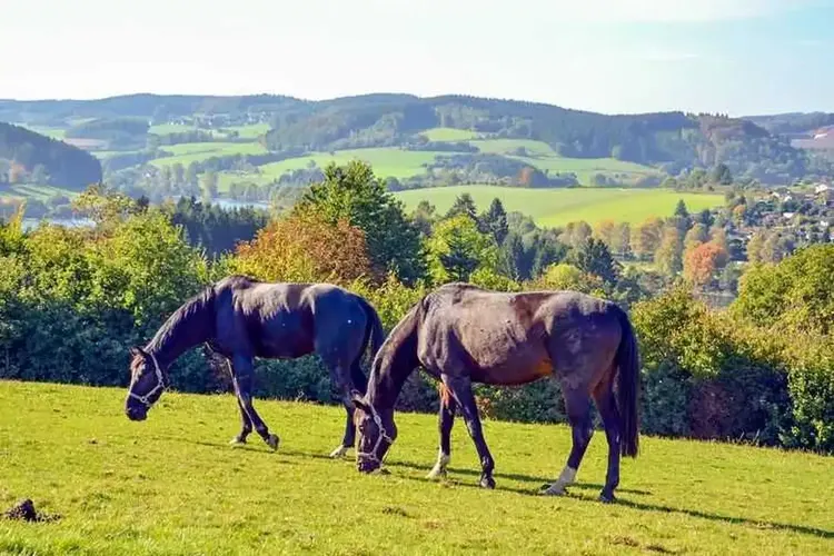 Sundern Sauerland